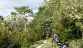 Excursión Bici de montaña Saint-Auban - Grande Traversée des PréAlpes à VTT : St Auban - Gars - Photo 2