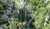 Tour Mountainbike Les Ferres - Grande Traversée des PréAlpes à VTT : La Vallière - Carros le Neuf - Photo 3