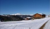 Tour Schneeschuhwandern Camurac - Raquettes au dessus de Camurac - Photo 1