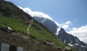 Tocht Stappen Saint-Christophe-en-Oisans - Tour de la Bérarde - Étape n°2 : Refuge Temple des Écrins - Refuge de la Pilatte - Photo 4