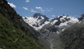 Randonnée Marche Saint-Christophe-en-Oisans - Tour de la Bérarde - Étape n°2 : Refuge Temple des Écrins - Refuge de la Pilatte - Photo 2