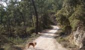 Trail Walking Verfeuil - Verfeuil - Montéze - Goussargues - Photo 1