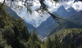 Randonnée Marche Chamonix-Mont-Blanc - Les Bois - Chapeau - Mer de Glace - Photo 5