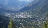 Randonnée Marche Chamonix-Mont-Blanc - Les Bois - Chapeau - Mer de Glace - Photo 3