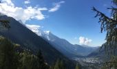 Randonnée Marche Chamonix-Mont-Blanc - Les Bois - Chapeau - Mer de Glace - Photo 2