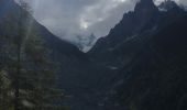Randonnée Marche Chamonix-Mont-Blanc - Les Bois - Chapeau - Mer de Glace - Photo 1