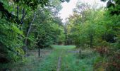 Trail Walking Pierrefonds - en forêt de Compiègne_20_le Beaudon_bois de Damart_la Héronnière_bois du Bourgot - Photo 4