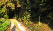 Tour Wandern Pierrefonds - en forêt de Compiègne_20_le Beaudon_bois de Damart_la Héronnière_bois du Bourgot - Photo 1