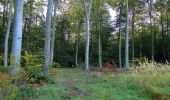 Percorso Marcia Pierrefonds - en forêt de Compiègne_20_le Beaudon_bois de Damart_la Héronnière_bois du Bourgot - Photo 13