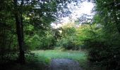 Trail Walking Pierrefonds - en forêt de Compiègne_20_le Beaudon_bois de Damart_la Héronnière_bois du Bourgot - Photo 3