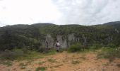 Tocht Mountainbike Belgentier - Descente de Valbelle - Belgentier - Photo 2