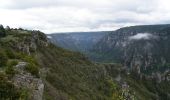 Trail Walking Massegros Causses Gorges - Le Massegros, Point Sublime, Soulages - Photo 4