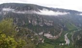 Tour Wandern Massegros Causses Gorges - Le Massegros, Point Sublime, Soulages - Photo 3