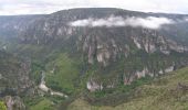 Tour Wandern Massegros Causses Gorges - Le Massegros, Point Sublime, Soulages - Photo 2