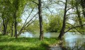 Tocht Lopen Saint-Aulaye-Puymangou - St Aulaye - Photo 1