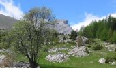 Trail Walking Lus-la-Croix-Haute - Tour du Dévoluy - de La Jarjatte à Vaunières - Photo 6