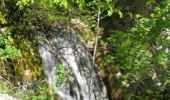 Tour Wandern Lus-la-Croix-Haute - Tour du Dévoluy - de La Jarjatte à Vaunières - Photo 3