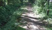 Trail Walking Buysscheure - Découverte du Bocage Flamand - Buysscheure - Photo 6