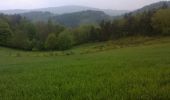 Tocht Fiets Brassac-les-Mines - Brassac Les Mines -  Monts d'Auvergne - Photo 2