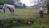 Tocht Fiets Brassac-les-Mines - Brassac Les Mines -  Monts d'Auvergne - Photo 1