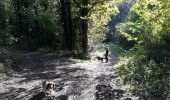 Trail Other activity Dour - 3 ruiss part petit Dour. vérifie 10-2018 - Photo 16