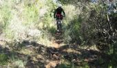 Excursión Bici de montaña Pierrefeu-du-Var - Pistes de Camargue à Pierrefeu du Var - Photo 1