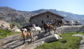 Excursión Senderismo Val-d'Isère - Val d'isère - Bonneval - Photo 2