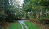 Trail Walking Vauciennes - en forêt de Retz_71_Chavres_carrefour de la Chapelle de Montigny_AR - Photo 11