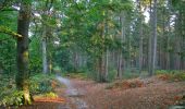 Trail Walking Vauciennes - en forêt de Retz_71_Chavres_carrefour de la Chapelle de Montigny_AR - Photo 10