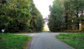 Trail Walking Vauciennes - en forêt de Retz_71_Chavres_carrefour de la Chapelle de Montigny_AR - Photo 5