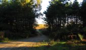 Trail Walking Vauciennes - en forêt de Retz_71_Chavres_carrefour de la Chapelle de Montigny_AR - Photo 18