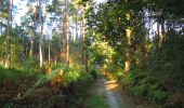 Tour Wandern Vauciennes - en forêt de Retz_71_Chavres_carrefour de la Chapelle de Montigny_AR - Photo 15