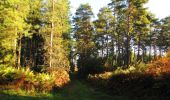 Trail Walking Vauciennes - en forêt de Retz_71_Chavres_carrefour de la Chapelle de Montigny_AR - Photo 20