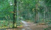 Trail Walking Vauciennes - en forêt de Retz_71_Chavres_carrefour de la Chapelle de Montigny_AR - Photo 9