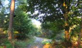 Excursión Senderismo Vauciennes - en forêt de Retz_71_Chavres_carrefour de la Chapelle de Montigny_AR - Photo 16