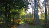 Trail Walking Vauciennes - en forêt de Retz_71_Chavres_carrefour de la Chapelle de Montigny_AR - Photo 19
