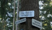 Trail Walking Vauciennes - en forêt de Retz_71_Chavres_carrefour de la Chapelle de Montigny_AR - Photo 12