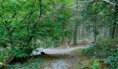 Excursión Senderismo Vauciennes - en forêt de Retz_71_Chavres_carrefour de la Chapelle de Montigny_AR - Photo 7