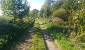 Trail Walking Oisy-le-Verger -  Autour des étangs et du bois de Oisy le Verger - Photo 1
