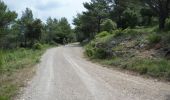 Tour Mountainbike Signes - De Chibron à Riboux et au Grand Vallon, sur le versant sud de la Sainte Baume - Photo 6
