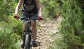 Percorso Mountainbike Signes - De Chibron à Riboux et au Grand Vallon, sur le versant sud de la Sainte Baume - Photo 4