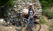 Tour Mountainbike Signes - De Chibron à Riboux et au Grand Vallon, sur le versant sud de la Sainte Baume - Photo 3