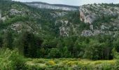 Trail Walking Beaumont-du-Ventoux - Les Alazards - Pic du Comte - Photo 2