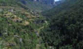 Excursión Bici de montaña Mostuéjouls - Causse Méjean - Gorges du Tarn - Photo 4