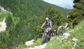 Excursión Bici de montaña Lus-la-Croix-Haute - Traversée de Lus à Veynes à vtt - Photo 6