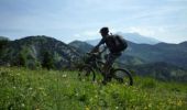 Excursión Bici de montaña Lus-la-Croix-Haute - Traversée de Lus à Veynes à vtt - Photo 4