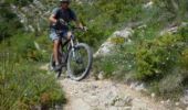 Excursión Bici de montaña Lus-la-Croix-Haute - Traversée de Lus à Veynes à vtt - Photo 3