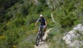 Excursión Bici de montaña Lus-la-Croix-Haute - Traversée de Lus à Veynes à vtt - Photo 2