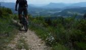 Excursión Bici de montaña Lus-la-Croix-Haute - Traversée de Lus à Veynes à vtt - Photo 1