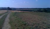 Trail Walking Villemur-sur-Tarn - Les Filhols par la Pissolle - Villemur sur Tarn - Photo 2